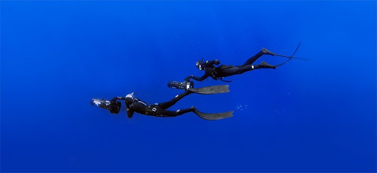 A female freediver with a black wetsuit descending down the line in constant weight with her long freediving fins