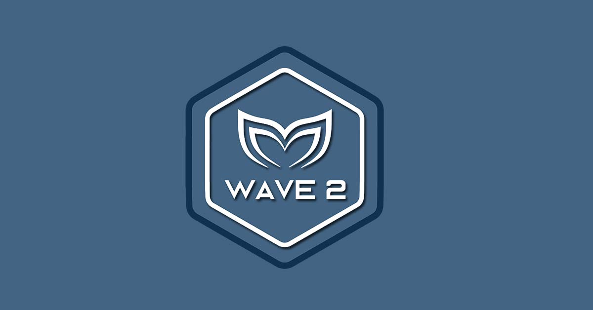 Wave 2 / Lap 2 Requirements – Molchanovs