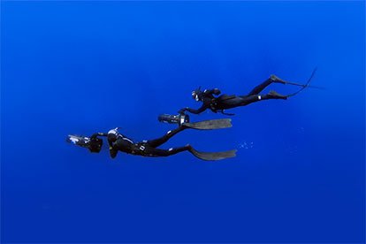 Link to Freediving Workshops