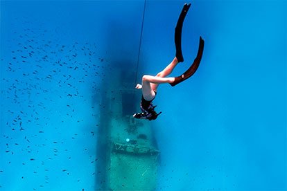 Link to Freediving Expeditions