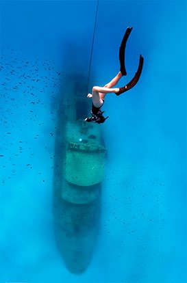 Link to Freediving Expeditions