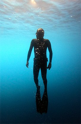 Link to Freediving Training Sessions