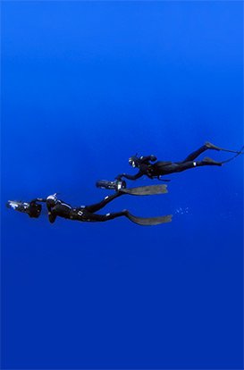 Link to Freediving DPV Underwater Scooters