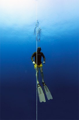 Link to Freediving Workshops