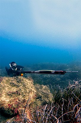 Link to Spearfishing Courses