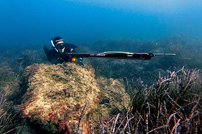 The Best Speargun For Spearfishing In 2023 Max Spearfishing, 51% OFF