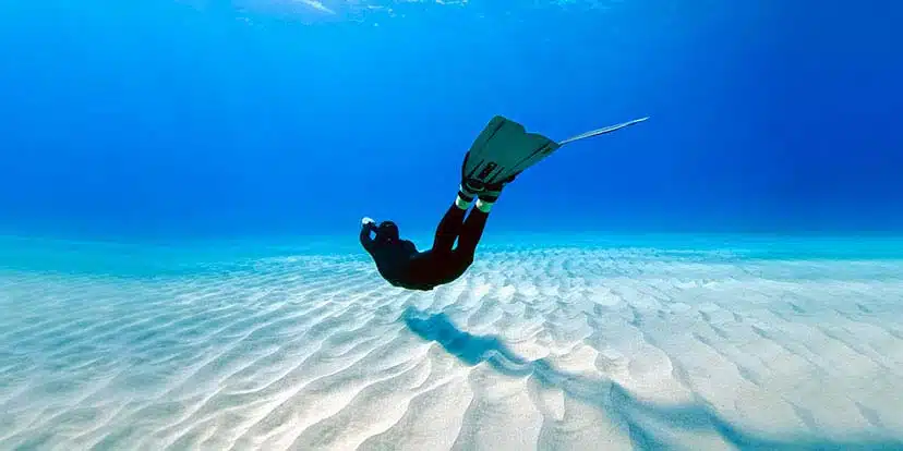 Link to Apnea Total Freediving courses page