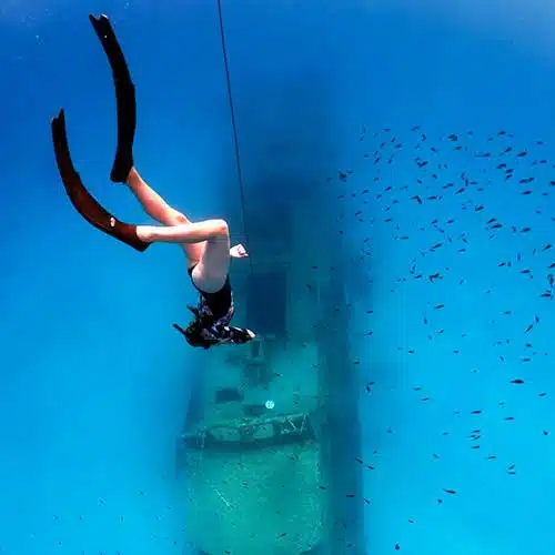 Link to the fun freediving page