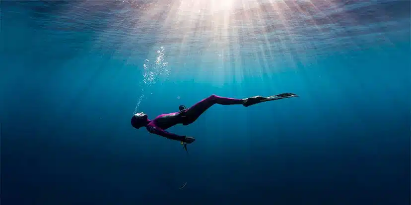 Link to the Molchanovs Freediving Courses