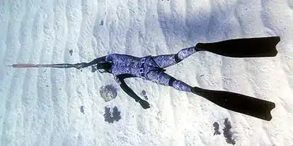 Link to the Spearfishing Courses page