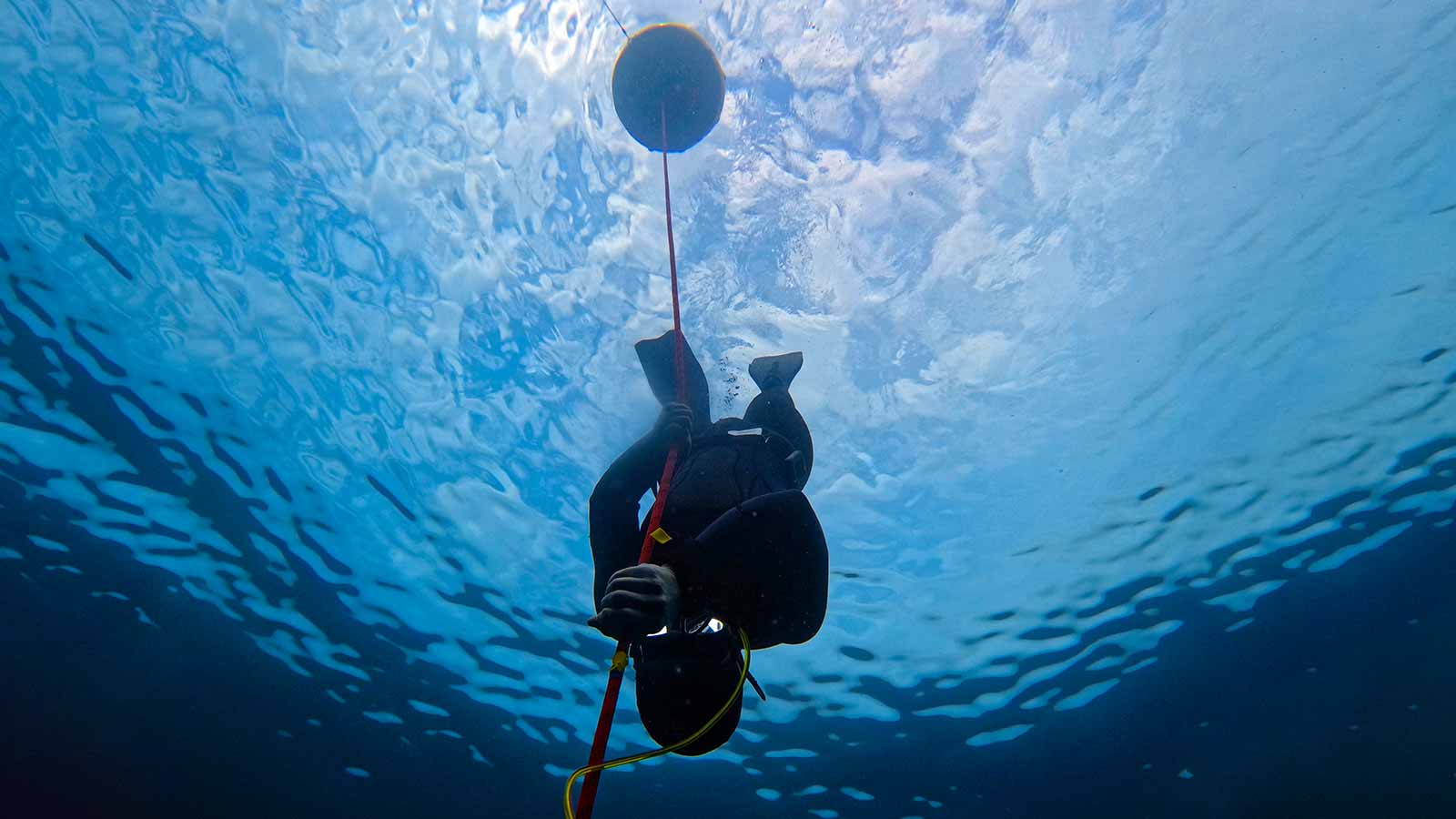Student descending on the line while doing a Discover Freediving course in Malta