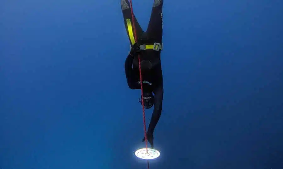 Freediver in a black wetsuit and with a yellow freediving weightbelt touching the bottom plate