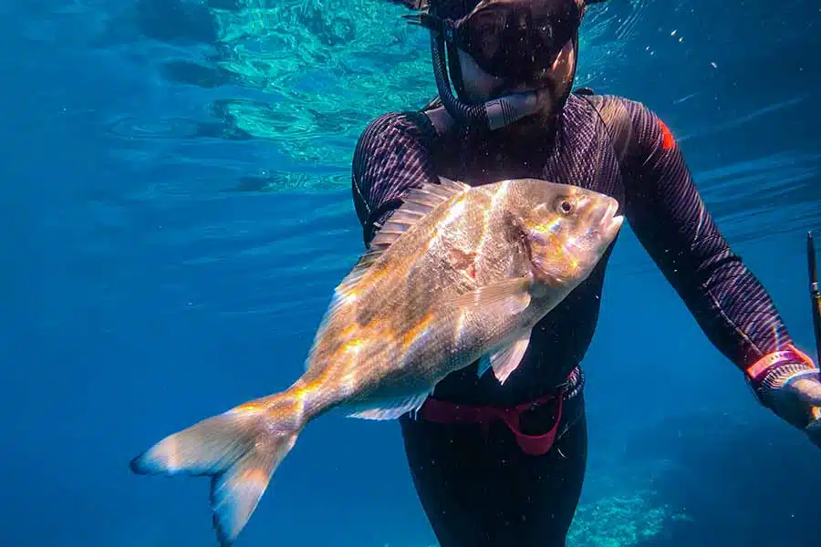 Learn Freediving in Malta and Gozo - Freediver Course picture 1
