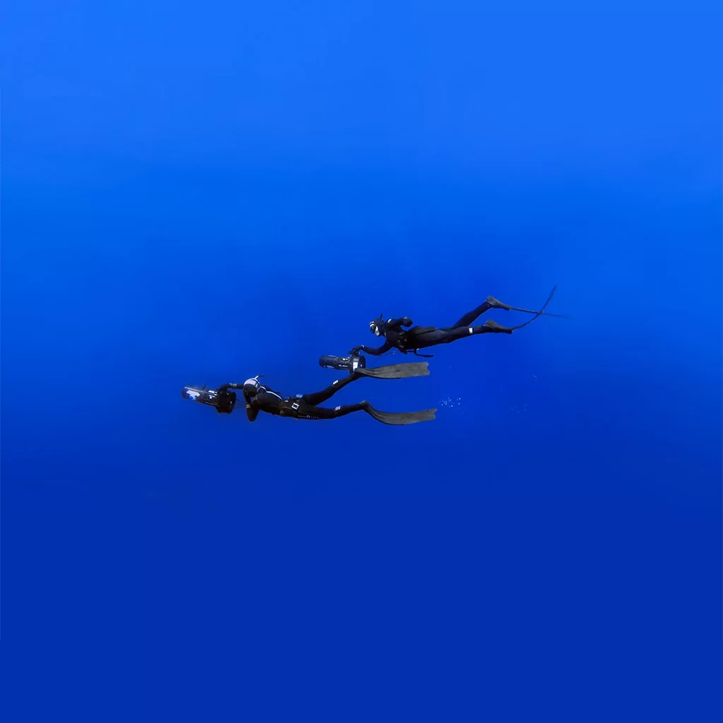 Two freedivers in Malta with black wetsuits driving underwater scooter one close to the pother in the blue