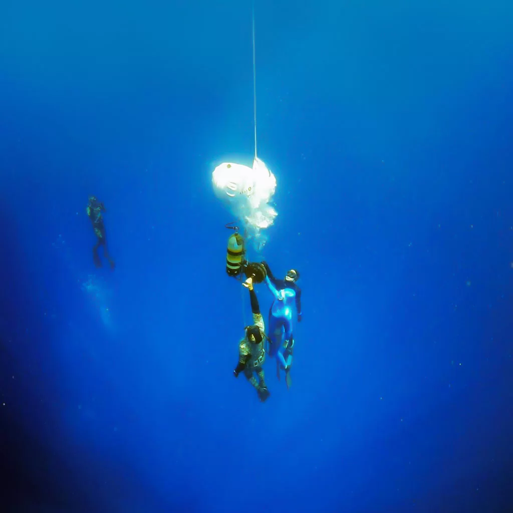 Link to our Freediving Workshops